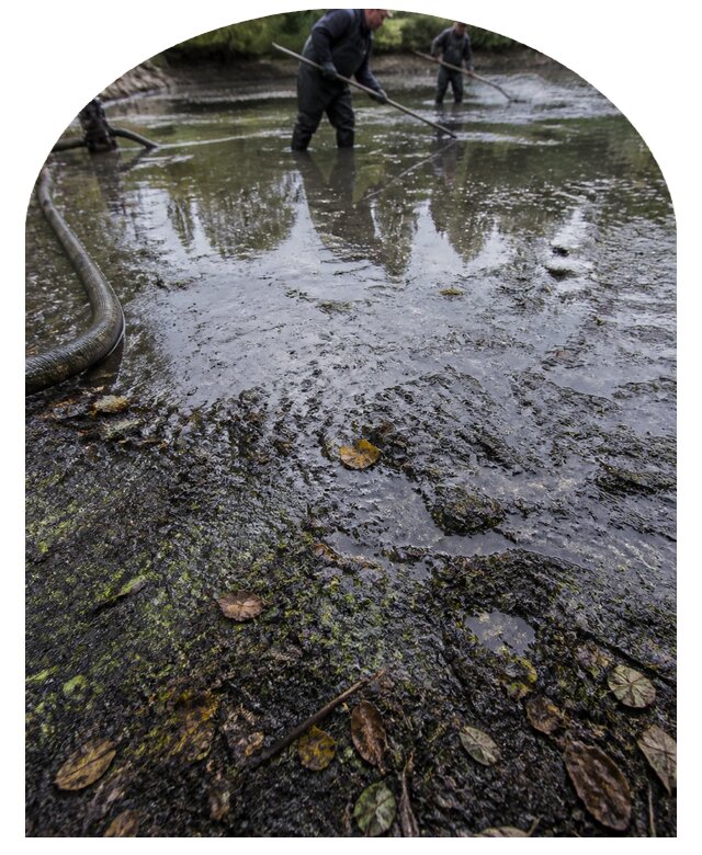 Очистка пруда в Вологде от ила мусора и водорослей с вывозом